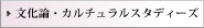 文化論・カルチュラルスタディーズ